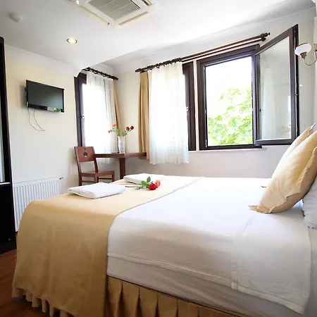 酒店 苏丹酒店 3*